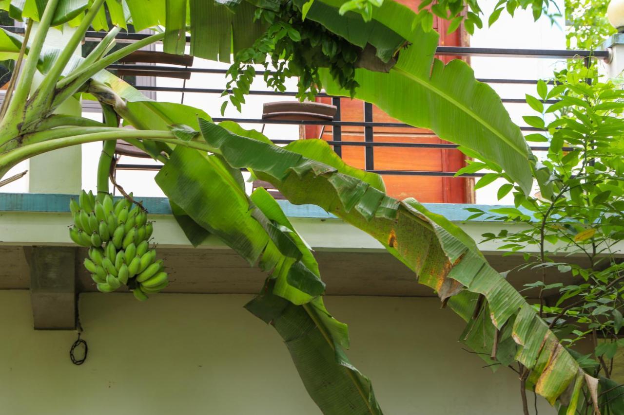 An An Homestay Phong Nha