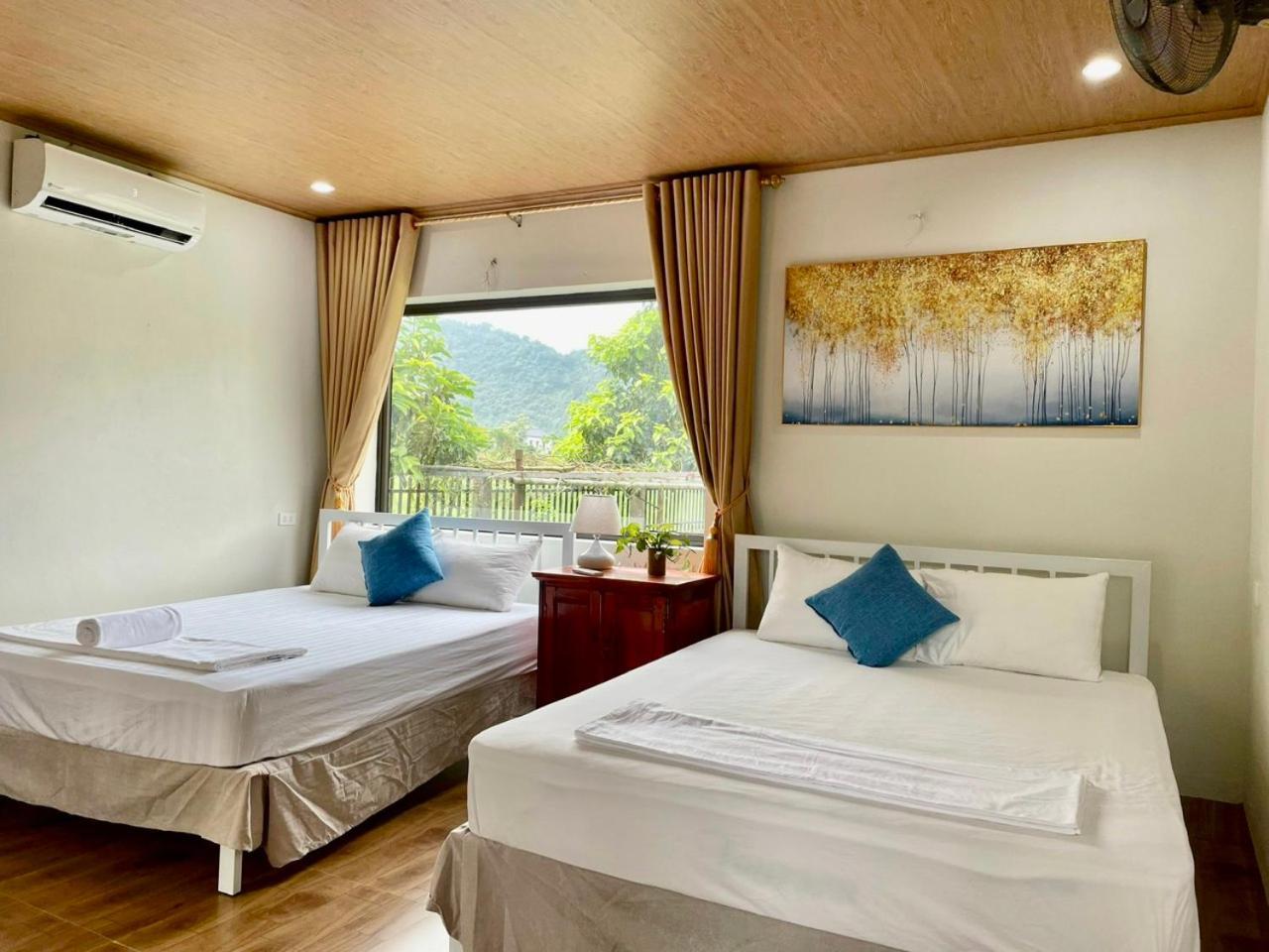 An An Phong Nha