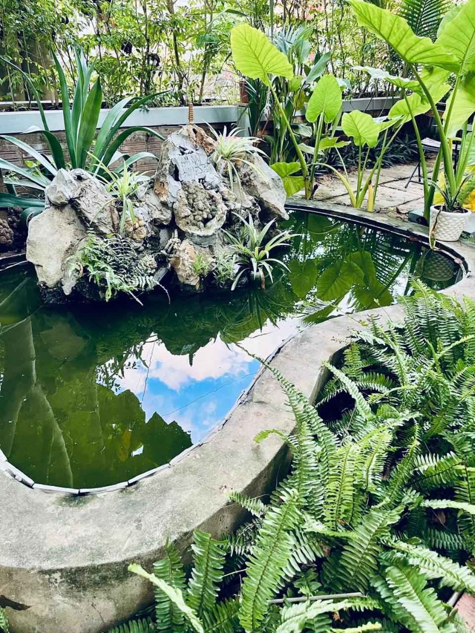 Homestay An An Phong Nha